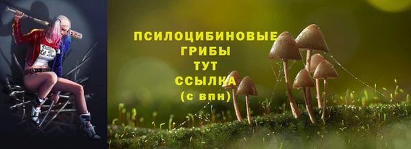 скорость Ельня