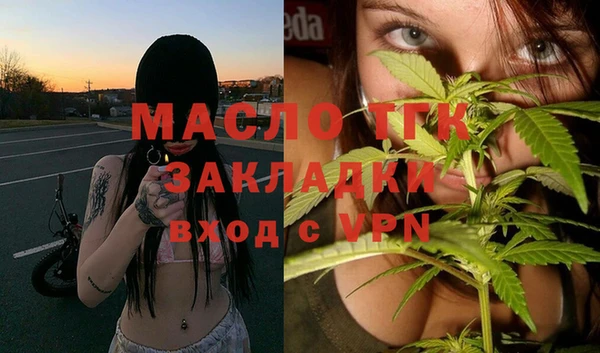 скорость Ельня