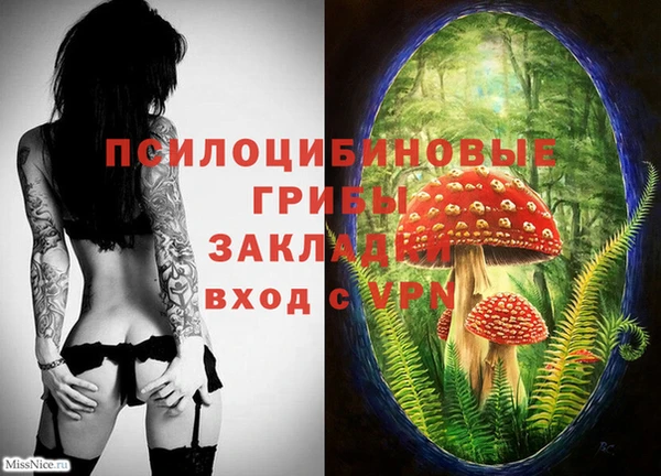 скорость Ельня