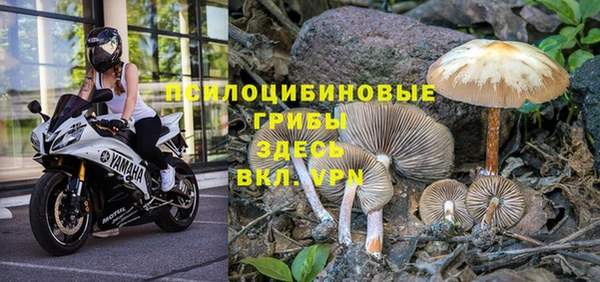 синтетический гашиш Елизово
