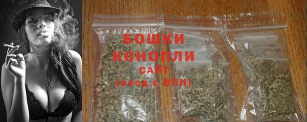скорость Ельня